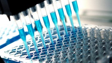 pharma industry